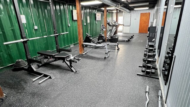 free weights